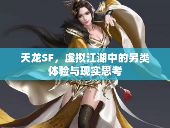 天龙SF，虚拟江湖中的另类体验与现实思考