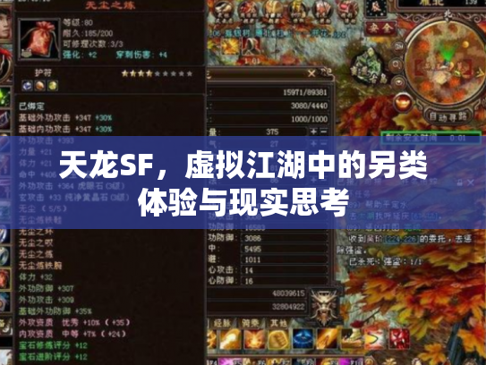 天龙SF，虚拟江湖中的另类体验与现实思考