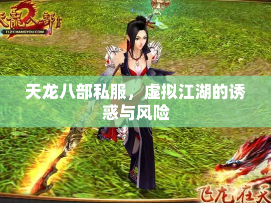 天龙八部私服，虚拟江湖的诱惑与风险