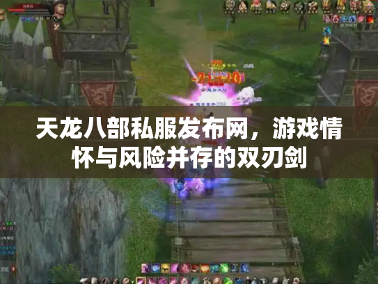 天龙八部私服发布网，游戏情怀与风险并存的双刃剑