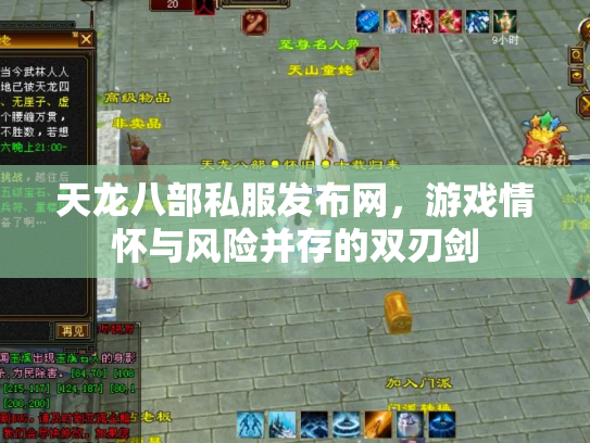 天龙八部私服发布网，游戏情怀与风险并存的双刃剑