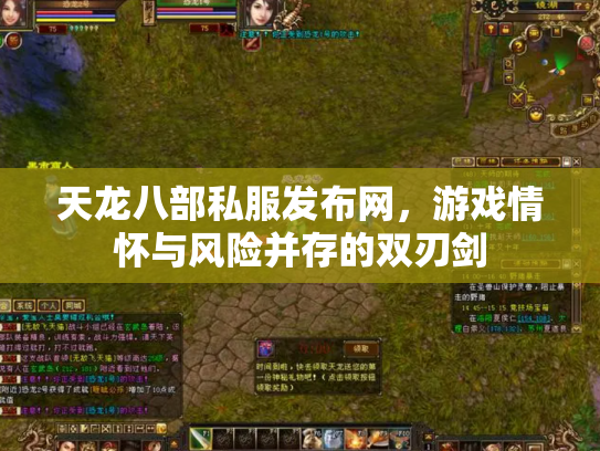 天龙八部私服发布网，游戏情怀与风险并存的双刃剑