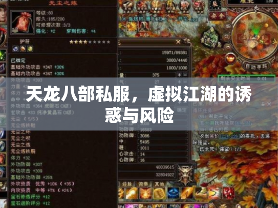 天龙八部私服，虚拟江湖的诱惑与风险