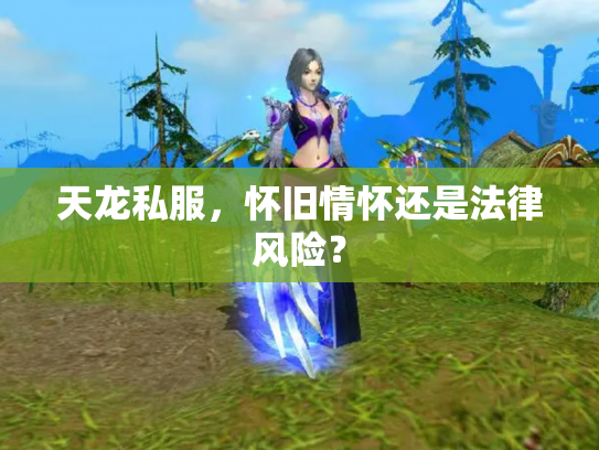 天龙私服，怀旧情怀还是法律风险？