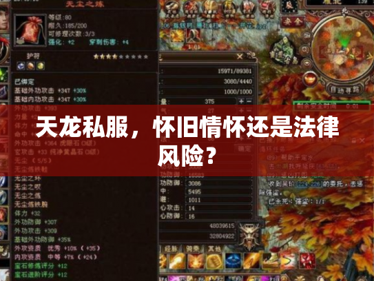 天龙私服，怀旧情怀还是法律风险？