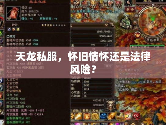 天龙私服，怀旧情怀还是法律风险？