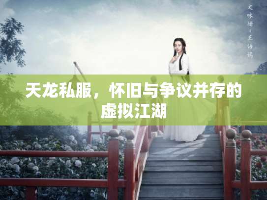 天龙私服，怀旧与争议并存的虚拟江湖