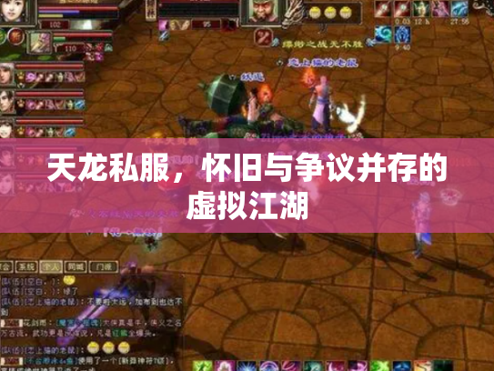 天龙私服，怀旧与争议并存的虚拟江湖