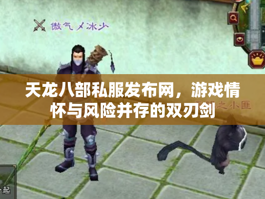 天龙八部私服发布网，游戏情怀与风险并存的双刃剑
