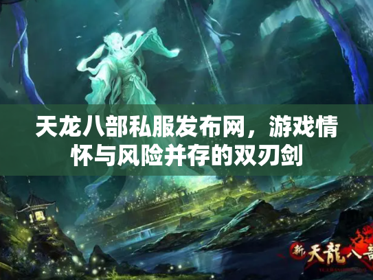 天龙八部私服发布网，游戏情怀与风险并存的双刃剑