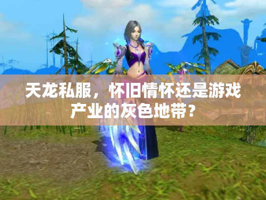 天龙私服，怀旧情怀还是游戏产业的灰色地带？