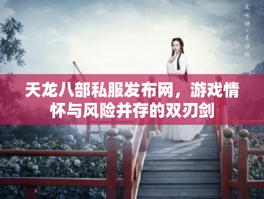 天龙八部私服发布网，游戏情怀与风险并存的双刃剑