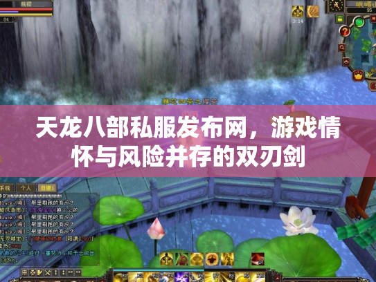 天龙八部私服发布网，游戏情怀与风险并存的双刃剑