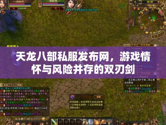 天龙八部私服发布网，游戏情怀与风险并存的双刃剑