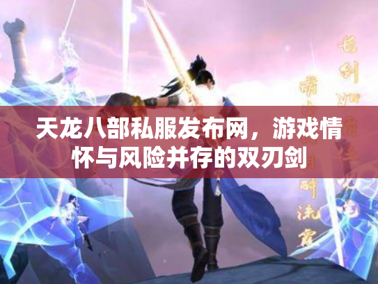 天龙八部私服发布网，游戏情怀与风险并存的双刃剑