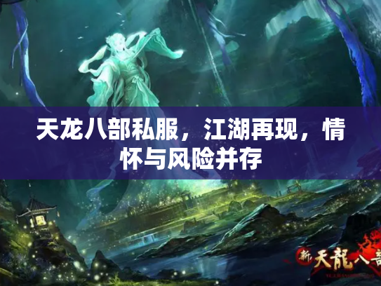 天龙八部私服，江湖再现，情怀与风险并存