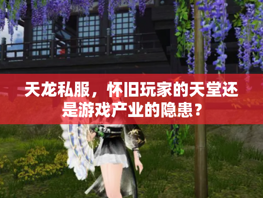 天龙私服，怀旧玩家的天堂还是游戏产业的隐患？