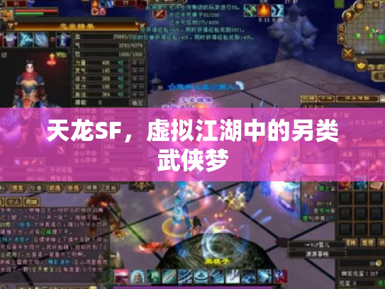 天龙SF，虚拟江湖中的另类武侠梦