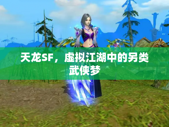 天龙SF，虚拟江湖中的另类武侠梦