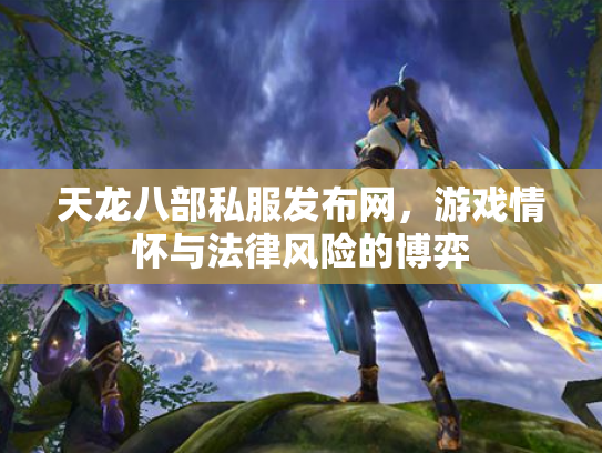 天龙八部私服发布网，游戏情怀与法律风险的博弈