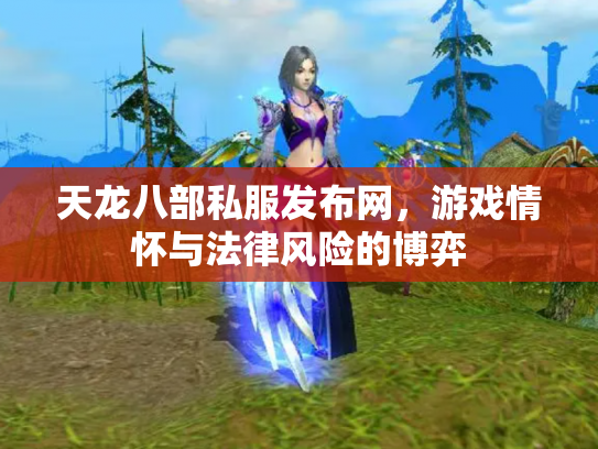 天龙八部私服发布网，游戏情怀与法律风险的博弈