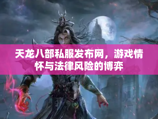 天龙八部私服发布网，游戏情怀与法律风险的博弈