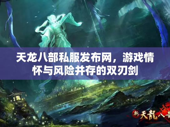 天龙八部私服发布网，游戏情怀与风险并存的双刃剑