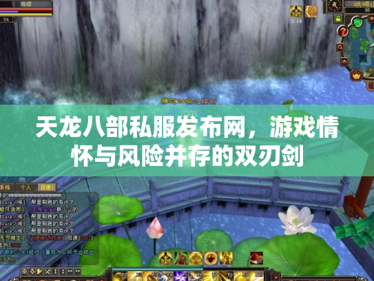 天龙八部私服发布网，游戏情怀与风险并存的双刃剑