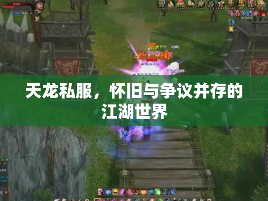 天龙私服，怀旧与争议并存的江湖世界