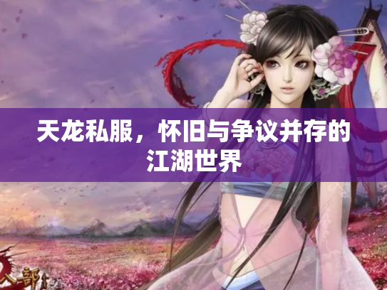 天龙私服，怀旧与争议并存的江湖世界
