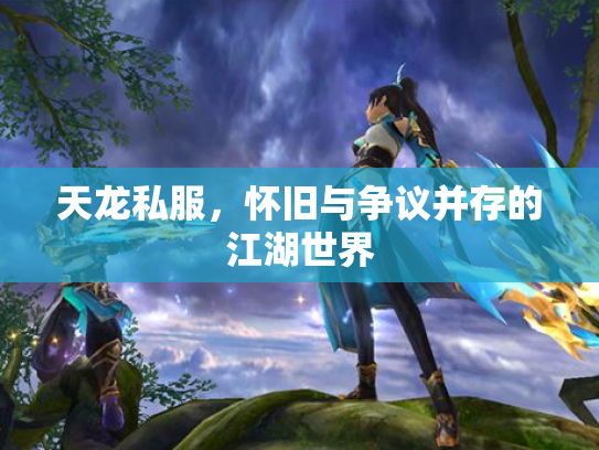 天龙私服，怀旧与争议并存的江湖世界