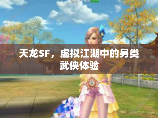 天龙SF，虚拟江湖中的另类武侠体验