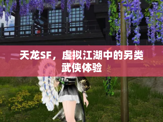 天龙SF，虚拟江湖中的另类武侠体验