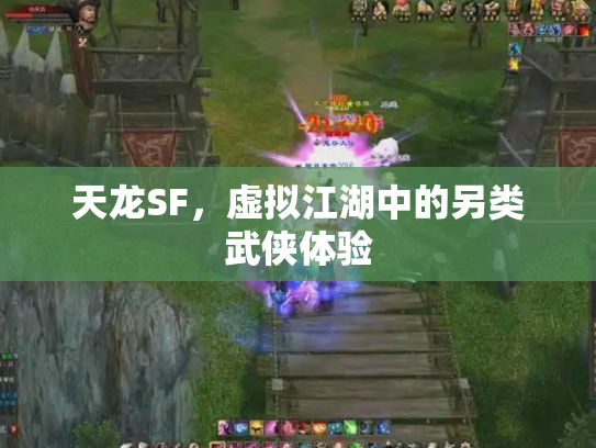 天龙SF，虚拟江湖中的另类武侠体验