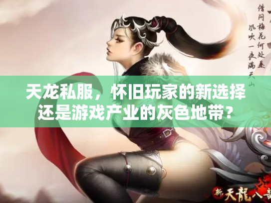 天龙私服，怀旧玩家的新选择还是游戏产业的灰色地带？