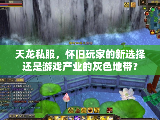 天龙私服，怀旧玩家的新选择还是游戏产业的灰色地带？