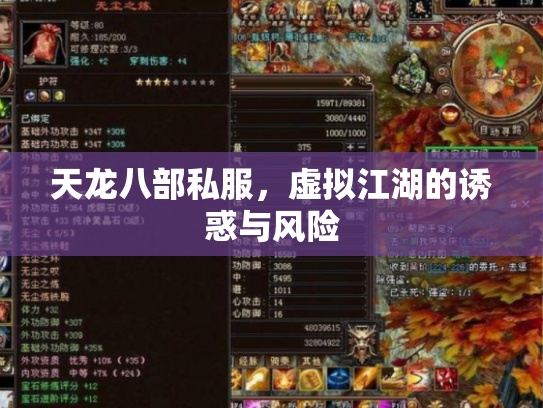 天龙八部私服，虚拟江湖的诱惑与风险