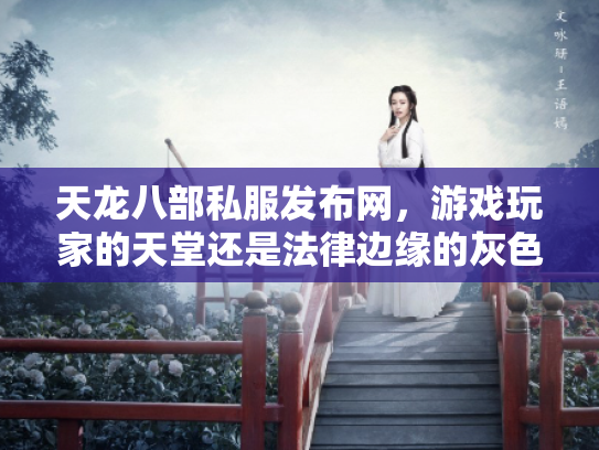 天龙八部私服发布网，游戏玩家的天堂还是法律边缘的灰色地带？