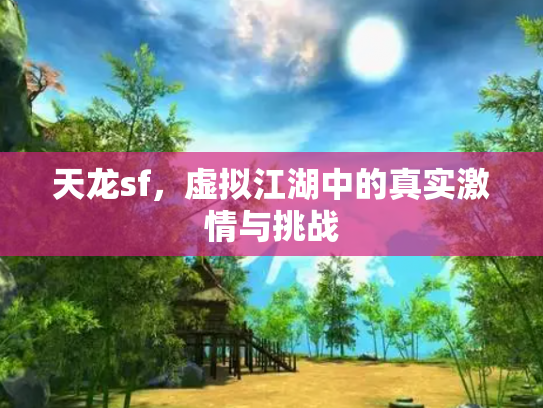 天龙sf，虚拟江湖中的真实激情与挑战