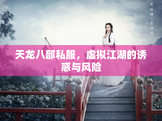 天龙八部私服，虚拟江湖的诱惑与风险
