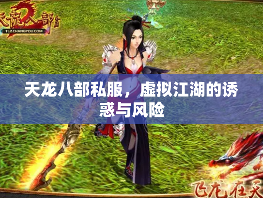 天龙八部私服，虚拟江湖的诱惑与风险