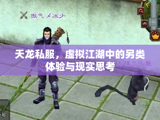 天龙私服，虚拟江湖中的另类体验与现实思考