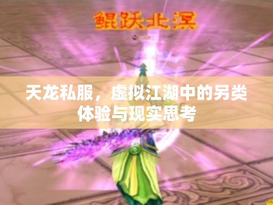 天龙私服，虚拟江湖中的另类体验与现实思考