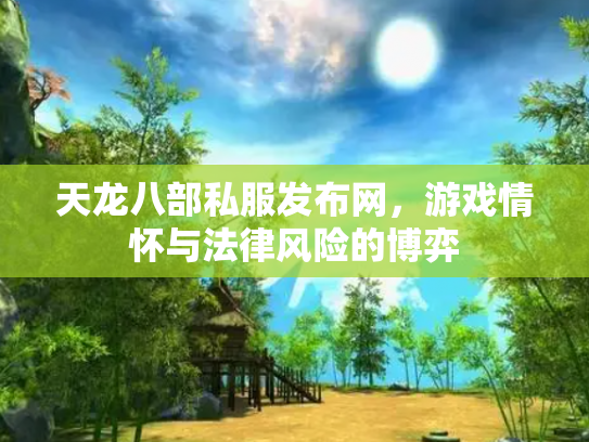 天龙八部私服发布网，游戏情怀与法律风险的博弈