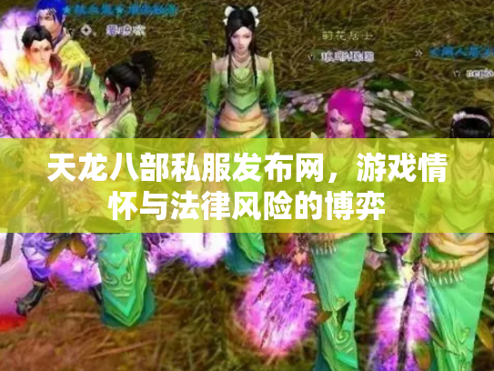 天龙八部私服发布网，游戏情怀与法律风险的博弈