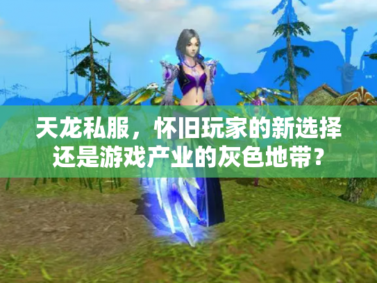 天龙私服，怀旧玩家的新选择还是游戏产业的灰色地带？