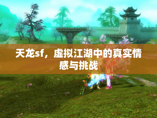天龙sf，虚拟江湖中的真实情感与挑战