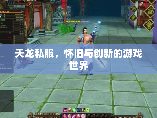天龙私服，怀旧与创新的游戏世界