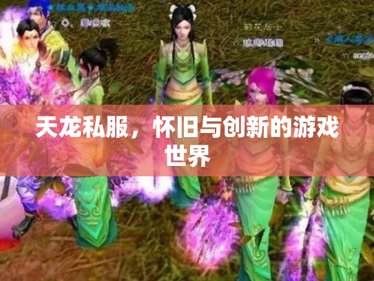 天龙私服，怀旧与创新的游戏世界