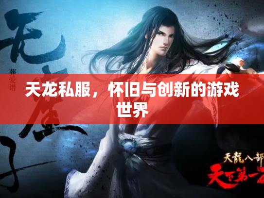 天龙私服，怀旧与创新的游戏世界